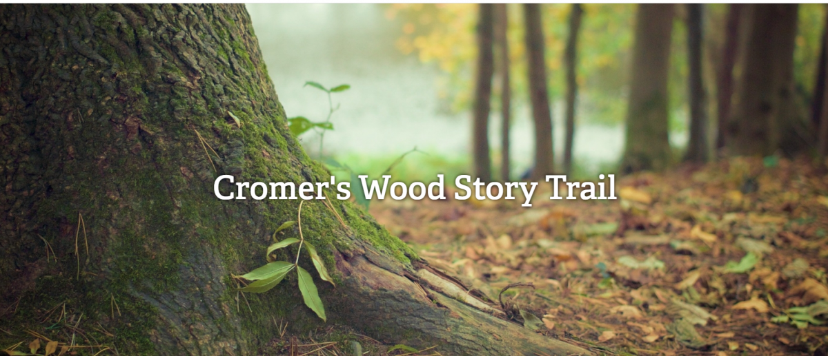 Introducing the Cromers Wood Story Trail